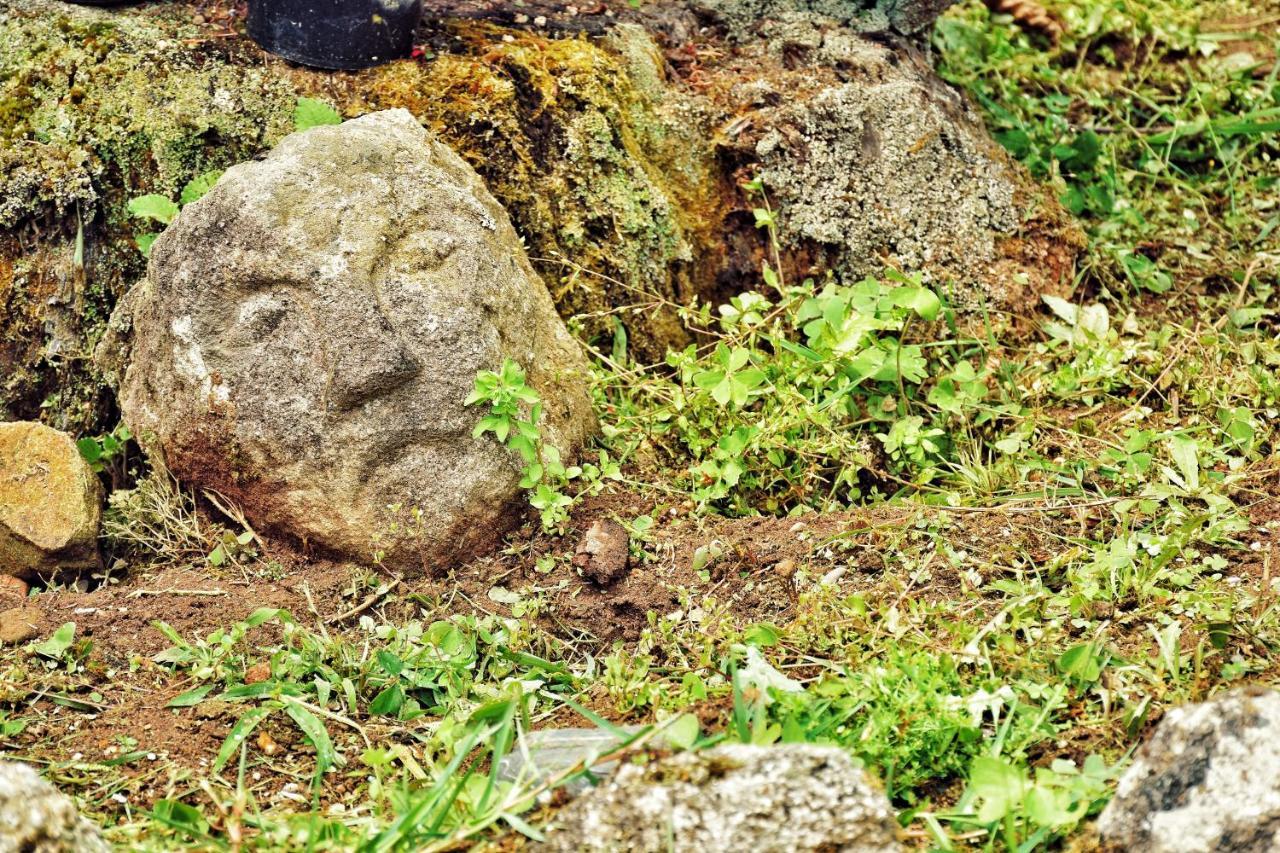Pazo Revel Hotel & Resort Pontevedra Kültér fotó